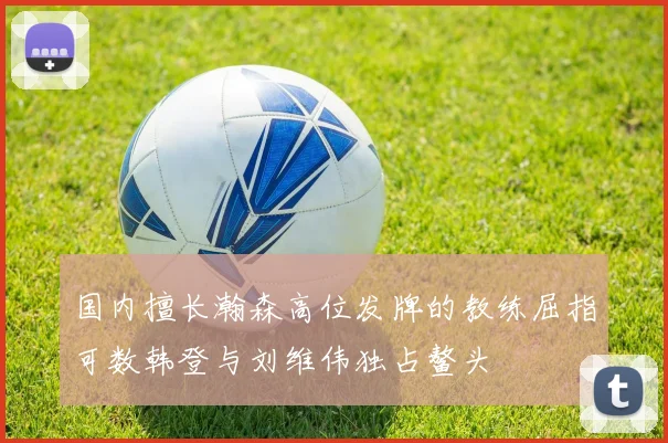 国内擅长瀚森高位发牌的教练屈指可数韩登与刘维伟独占鳌头