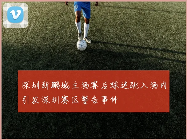 深圳新鹏城主场赛后球迷跳入场内引发深圳赛区警告事件